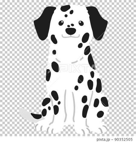 Simple and cute Dalmatian illustration sitting facing the front without main line Simple and cute Dalmatian illustration sitting facing the front without main line 90352505