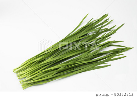 白バックのニラ 白バックのニラ 90352512