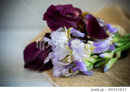 bouquet of beautiful blooming iris flowers on wooden background bouquet of beautiful blooming iris flowers on wooden background 90352637
