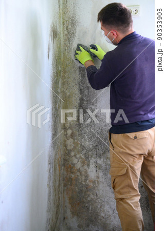 The man uses a spatula to remove mold and fungus on the wall. The man uses a spatula to remove mold and fungus on the wall. 90353903