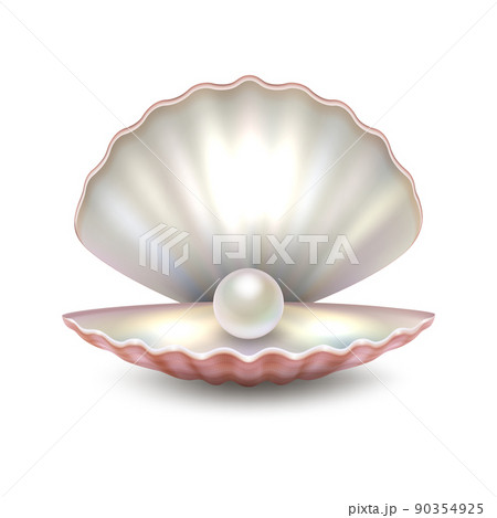Realistic vector beautiful natural open sea pearl shell closeup isolated on white background. Design template, clipart, icon or mockup in EPS10. 90354925