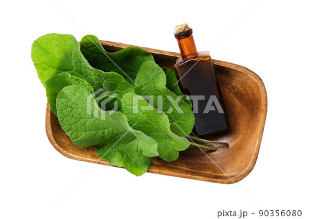 Bottle of Burdock infusion or tincture and leaves of arctium lappa - latin name for Burdock. Isolated on white. Top view. 90356080