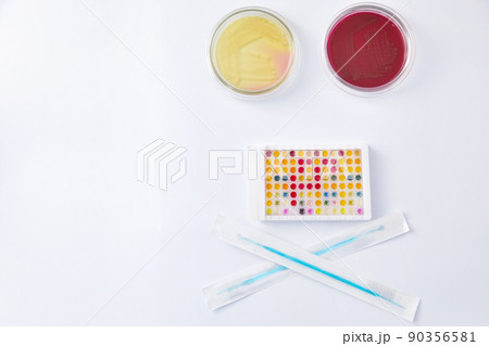 Microbiology Laboratory. Petri Dishes with Various Bacteria Samples Microbiology Laboratory. Petri Dishes with Various Bacteria Samples 90356581