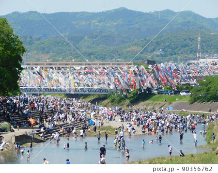 鯉のぼりが泳ぐ芥川桜堤公園で水遊びする人々(大阪府高槻市で2022年5月撮影) 90356762