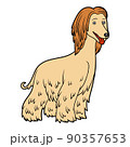 Cartoon illustration for children, Afghan hound 90357653