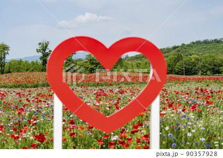公園の風景　満開のシャーレーポピー　みちのく湖畔公園　宮城県川崎町 90357928