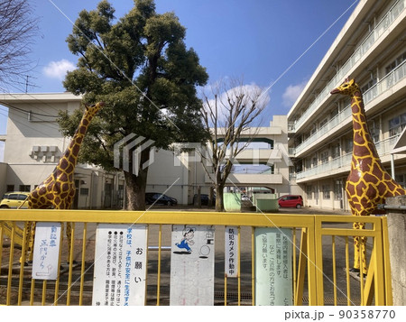 埼玉県所沢市、伸栄小学校、校門の左右にキリンの像がある小学校。 90358770