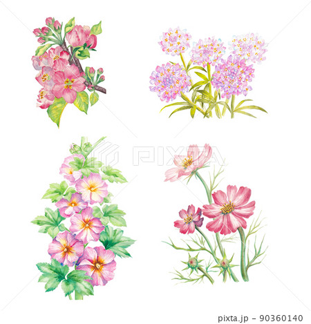 4 種類のピンクの花の手描き水彩画イラスト　りんごの花、イベリス、ホリホック、コスモス 90360140