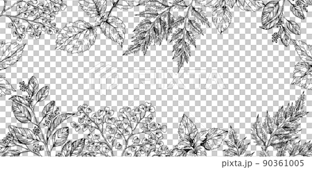 Botanical decorative frame border hand-painted herb illustration 90361005