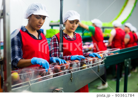 Latino women sorting peaches at fruit storage 90361784