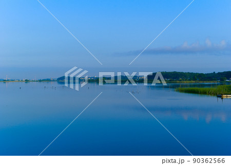 千葉県柏市手賀沼の風景2022年6月 90362566