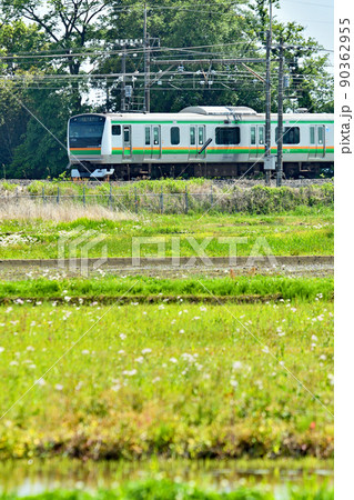 鉄道 JR東日本:宇都宮線 E233系 E-60F(横コツ) 鉄道 JR東日本:宇都宮線 E233系 E-60F(横コツ) 90362955
