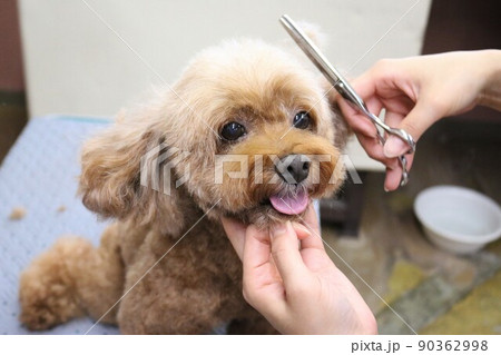 トリミング 90362998