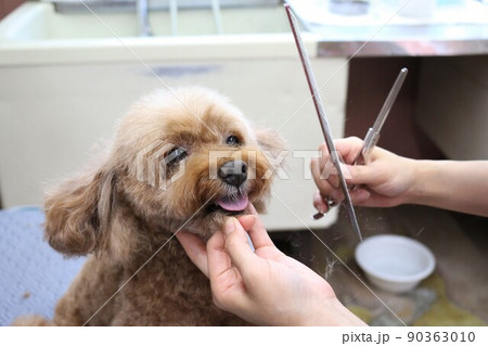 トリミング 90363010