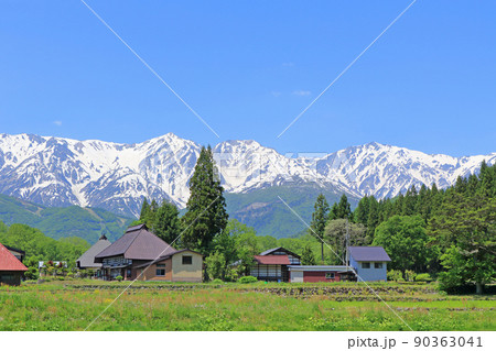 白馬村　5月の大出の里 90363041