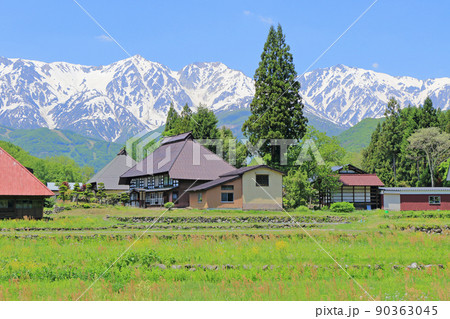 白馬村　5月の大出の里 90363045