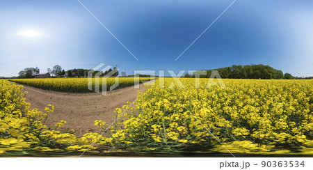 北海道 安平町の菜の花畑(360°VR素材) 北海道 安平町の菜の花畑(360°VR素材) 90363534