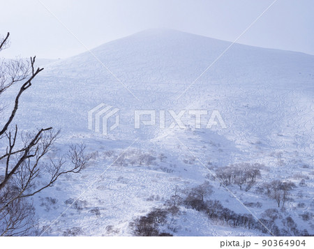 沢山の滑走跡が付いた雪山 (北海道、ニセコ) 沢山の滑走跡が付いた雪山 (北海道、ニセコ) 90364904