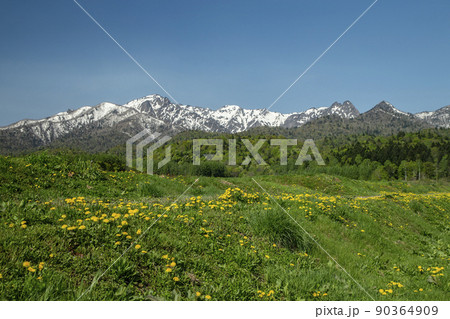 新緑の芦別岳 90364909