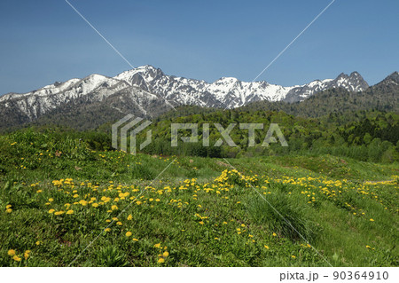 新緑の芦別岳 90364910