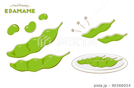 夏野菜 枝豆のイラスト ベクター手描きタッチ 90366054