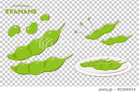 夏野菜 枝豆のイラスト ベクター手描きタッチ 90366054