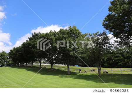 岩手 洋野 おおのキャンパス 観光牧場 岩手 洋野 おおのキャンパス 観光牧場 90366088