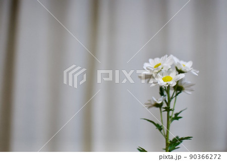 白い花の一輪差し 90366272
