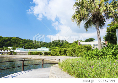 神奈川県横須賀市観音崎の初夏　 90367344