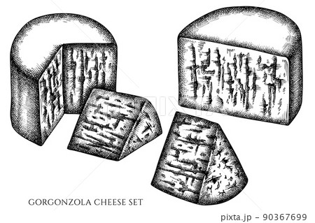 Cheese vintage vector illustrations collection. Black and white gorgonzola. Cheese vintage vector illustrations collection. Black and white gorgonzola. 90367699