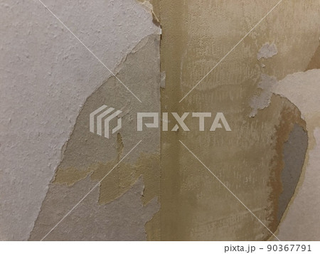 クロスを剥がした後の壁 90367791
