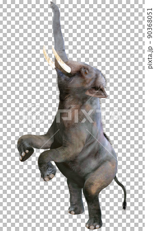 インドゾウ☆Indian Elephant インドゾウ☆Indian Elephant 90368051