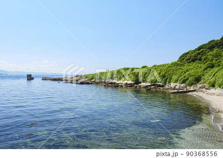 神奈川県横須賀市観音崎の初夏　 90368556