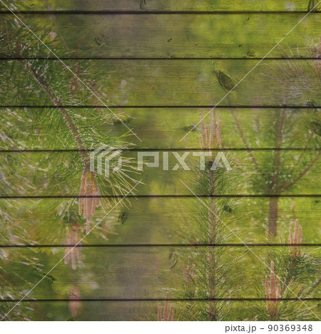 Vintage wood background with pine tree silhouettes 90369348