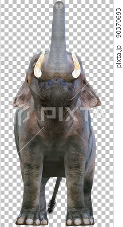 印度象 ☆ 印度象 90370693