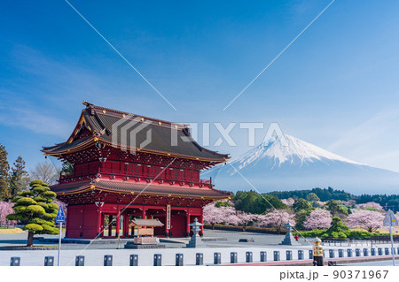 （静岡県）桜満開の大石寺三門と富士山 90371967