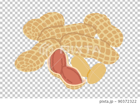 落花生のイラスト 落花生のイラスト 90372322