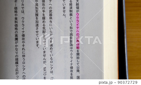 社会・経済・国際関連用語・単語（ウクライナ軍事作戦) ピンク 90372729