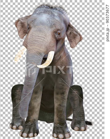 印度象 ☆ 印度象 90373677