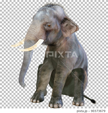 印度象 ☆ 印度象 90373679