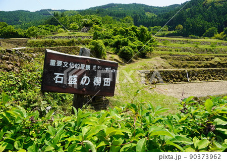蕨野の棚田(石盛の棚田・佐賀県) 蕨野の棚田(石盛の棚田・佐賀県) 90373962