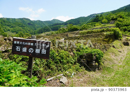 蕨野の棚田(石盛の棚田・佐賀県) 蕨野の棚田(石盛の棚田・佐賀県) 90373963