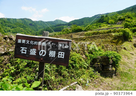 蕨野の棚田（石盛の棚田・佐賀県） 90373964