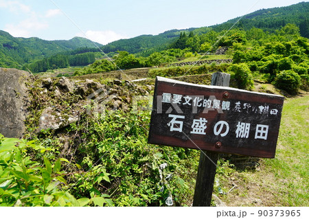 蕨野の棚田（石盛の棚田・佐賀県） 90373965