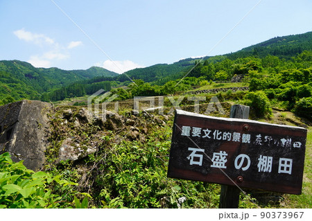 蕨野の棚田（石盛の棚田・佐賀県） 90373967