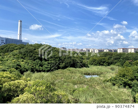 落合中央公園まちなかのビオトープ 90374874