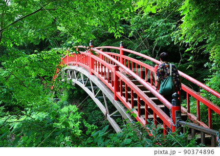 静岡・奥大井 静岡・奥大井 90374896