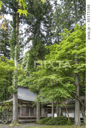 郡上八幡 大乗寺 鬼子母神堂 郡上八幡 大乗寺 鬼子母神堂 90375386