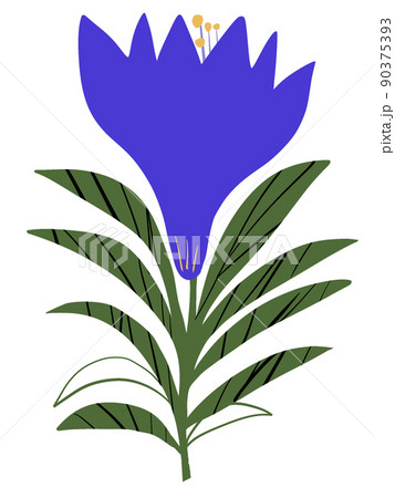 花02 90375393