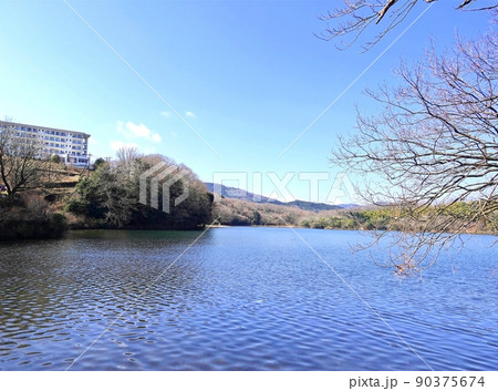 早春の一碧湖 早春の一碧湖 90375674